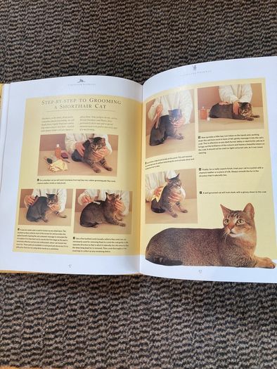 book caring for your cat