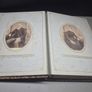 Antique Victorian / Edwardian Photo Album with Original Photographs Image 4