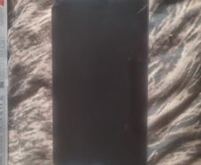 PlayStation Portal