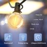 Outdoor LED String Lights Mains Powered 45.7M/150FT,Garden Festoon Lights with 75+2 G40 Plastic Bulbs,Waterproof Connectable Hanging Image 2
