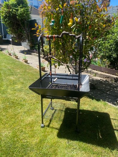 Bird Table