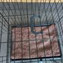 Collapsible Pet cage Image 2
