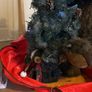 Christmas Bear and baby Bear decoration Vintage on a wooden base classic Image 10