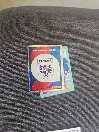 Panini WC Stickers