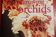 Growing Orchids/ The Complete Practical Guide to Orchids &amp; Their Cultivation