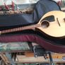 Valerio Gorla 6 string bouzouki Image 5
