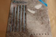 Kajagoogoo - White Feathers &amp; Islands Vinyl Records + Hundreds More