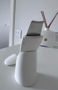 Facial beauty device