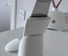Facial beauty device