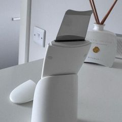 Facial beauty device