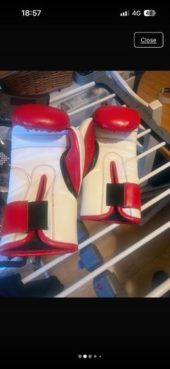 katie Taylor signed gloves