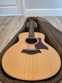 Taylor GS Mini-e