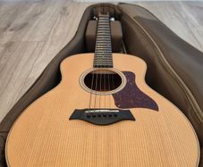 Taylor GS Mini-e