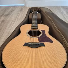 Taylor GS Mini-e