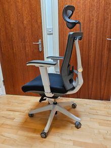 Autonomous ErgoChair 2 / ErgoChair Pro Ergonomic Office Chair