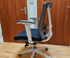 Autonomous ErgoChair 2 / ErgoChair Pro Ergonomic Office Chair