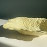 Vintage Carlton ware dish Image 2