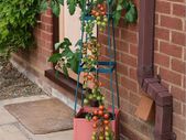 Garden Grow Self Watering 4 Tier Tomato Tower