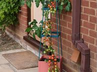 main image for ad Garden Grow Self Watering 4 Tier Tomato Tower