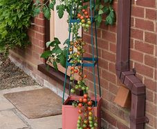 Garden Grow Self Watering 4 Tier Tomato Tower