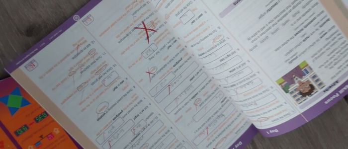 English in practice and mental Maths 4  please read description below