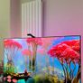 Samsung S95b 65" Qd-oled Smart Tv Image 6