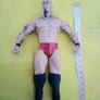 WWE Wrestlers Wrestler Action Figure Image 4