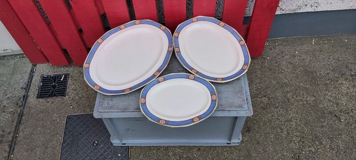 Karmony Shape Rose Pattern Vintage Dinnerware