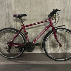 Men's Hybrid Bike Cosenza, Moving Sale Dublin