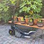 Pure advanced electric scooter perfect condition Image 7