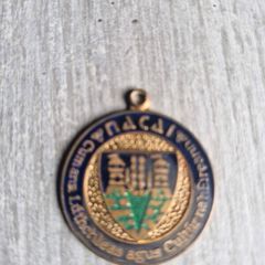 Nacai Medal