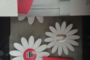 Daisy Wall decoration/ photo frames