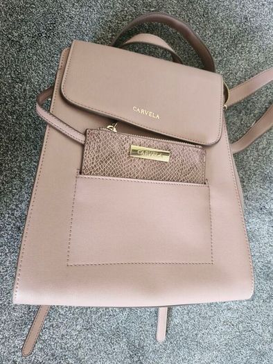 Pink Carvela backpack