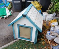 dog kennel