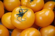 Orange Vine Tomatoes Seeds