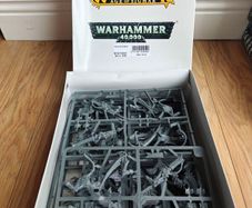 Warhammer 40k carnifex Brood