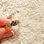 Vintage 9ct Yellow Gold Gypsy Ring Image 3