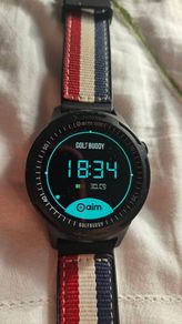 Golf Buddy aim W10