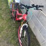 girls bike Image 2