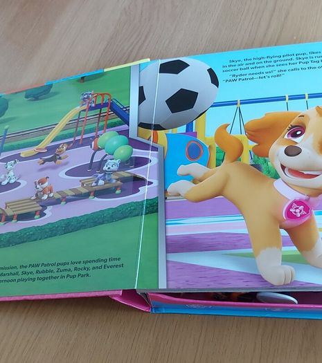 Paw Patrol Story Play Kit