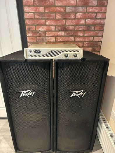 Speakers (Peavy PV215 Passive)