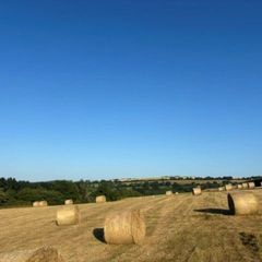 Quality Organic Hay