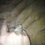 Vintage 925 silver rose quartz ring Image 2