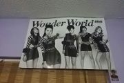 Wonder girls