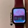 Apple Watch Series 4 Image 3