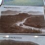 17 X Early 20th Century Irish Postcards Image 9