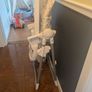 Highchair Image 2