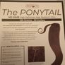 hair extension ponytail Image 3