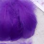 Goose Feathers Image 7