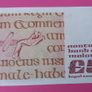 Irish 1979 "Scotus"  Five pound banknote in Uncirculated condition Image 4
